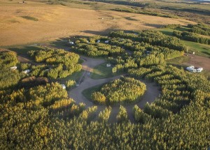 Mannville golf course, Alberta golf course, 9 holes